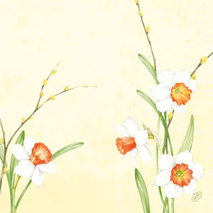 Serviettes Dunisoft Fleurs