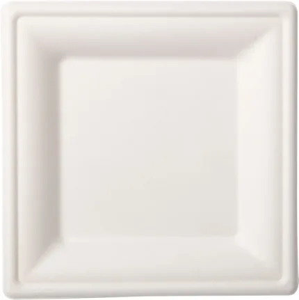 Assiettes en canne à sucre 16x16cm Blanc 12*10 pcs