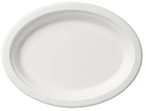 Assiette en canne à sucre 26cm Blanc 2*125pcs