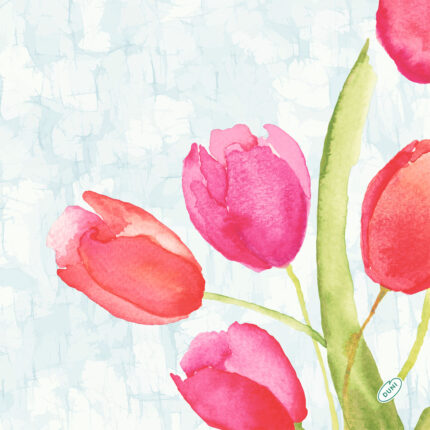 Des tulipes rouges ou roses sont dessinées, avec des longues feuilles